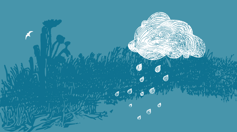 বৃষ্টি হবে আরও, আমাকে থাকতে বলো