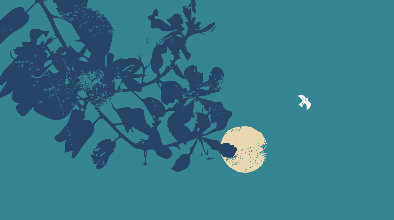 যেতে যেতে ফিরে ফিরে দেখি